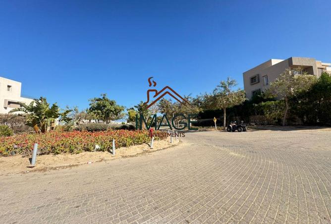 54246290 - Property Image 3