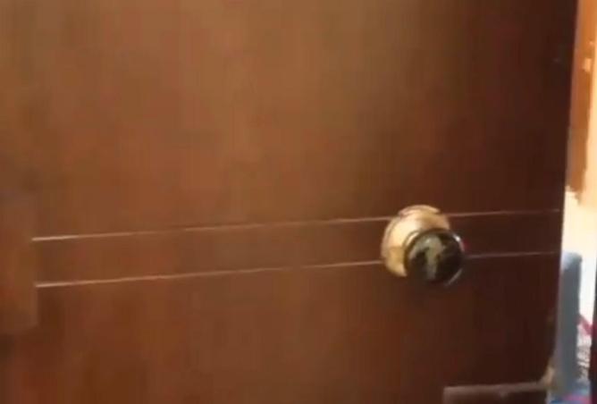 8552709 - Property Image 3