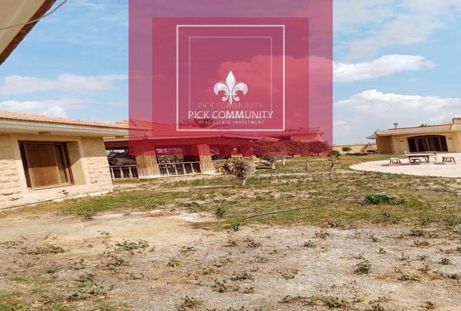 55008395 - Property Image 2