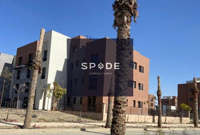 8595908 - Property Image 3