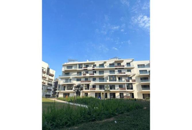 53735832 - Property Main Image