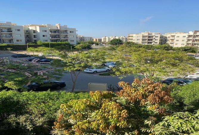 8586602 - Property Image 2