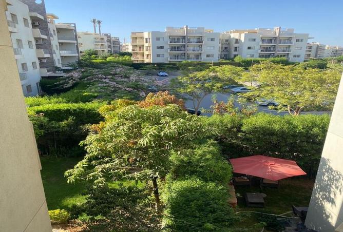 8586602 - Property Image 3