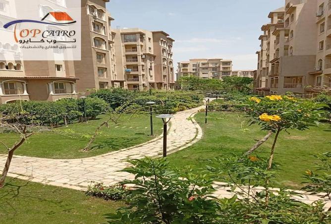 55749641 - Property Main Image