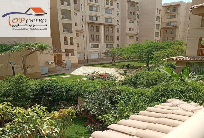 55749641 - Property Image 3