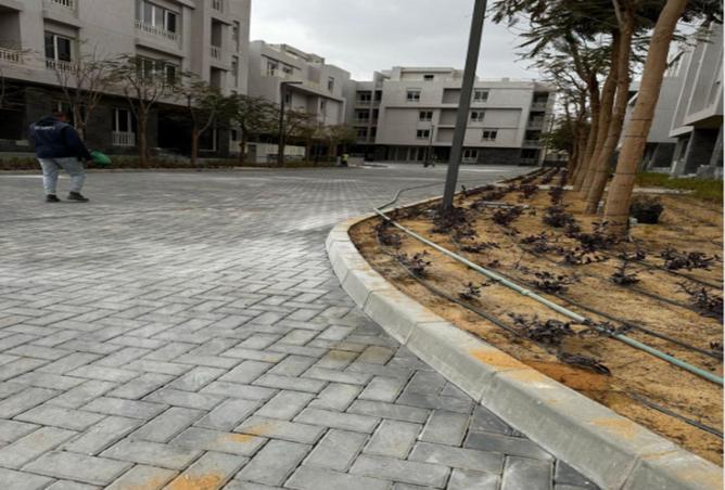 61694800 - صورة العقار 3