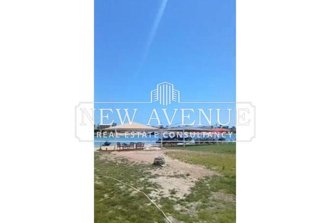 56252742 - Property Image 3