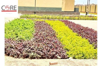 شقة - 3 غرف نوم - 2 حمامات للبيع في صبا ريزيدنس - كمبوندات 6 أكتوبر - مدينة 6 أكتوبر - الجيزة