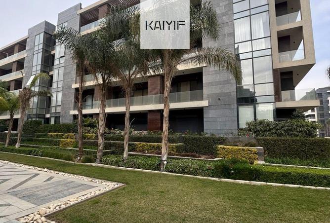 57996019 - Property Image 2