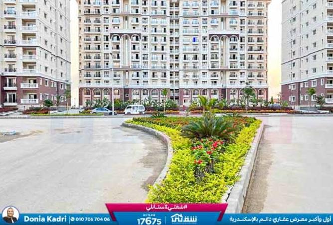 8472345 - Property Image 3