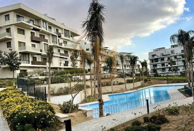 116232837 - Property Image 2