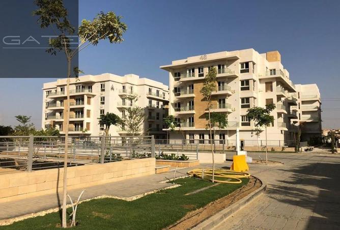 82097798 - Property Image 3