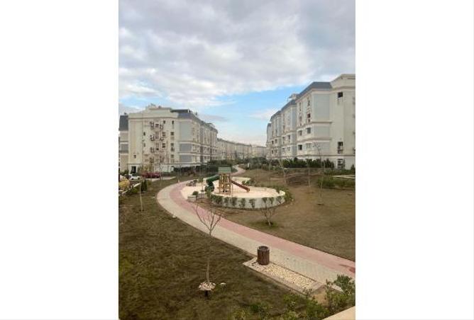 67216217 - صورة العقار 3