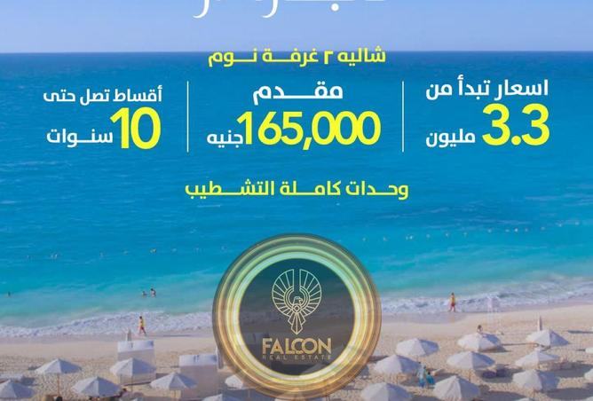 65600801 - صورة العقار 2