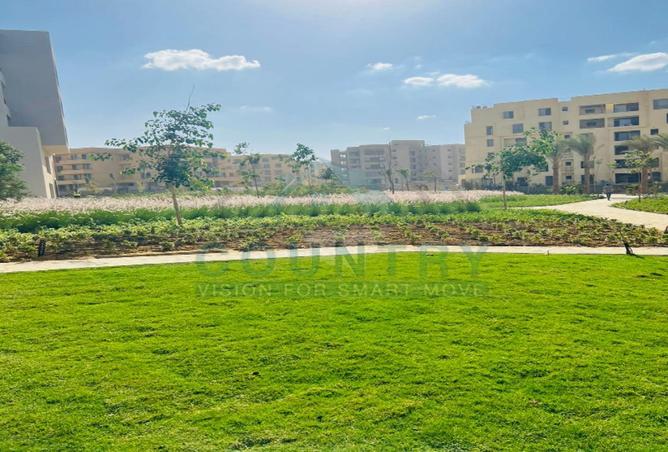 8535811 - صورة العقار 3