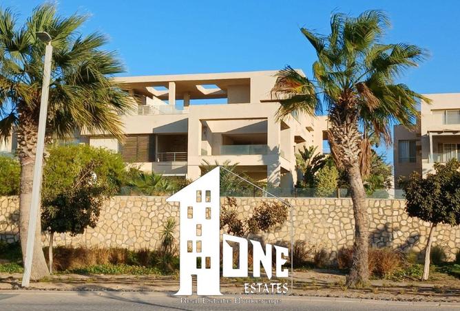 62651642 - Property Image 2