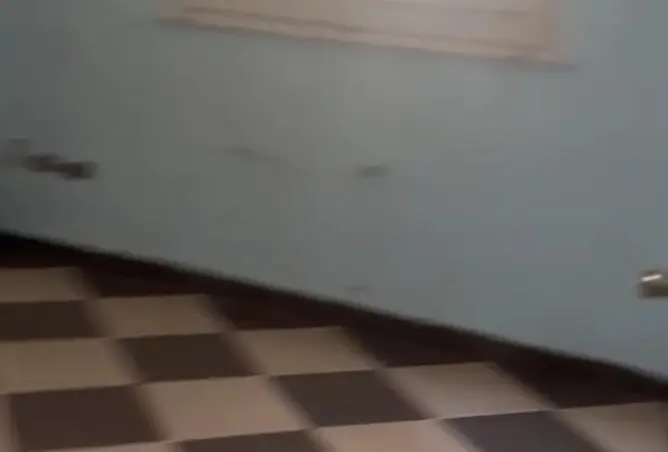 118813400 - صورة العقار 3