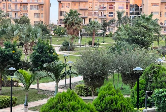 84514010 - صورة العقار 3
