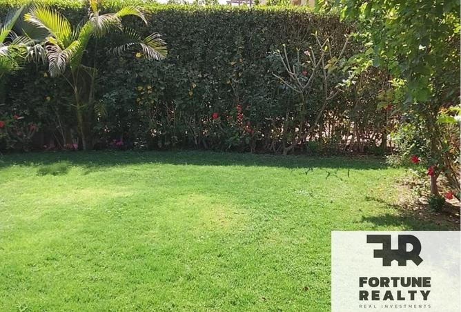 77598063 - Property Image 3