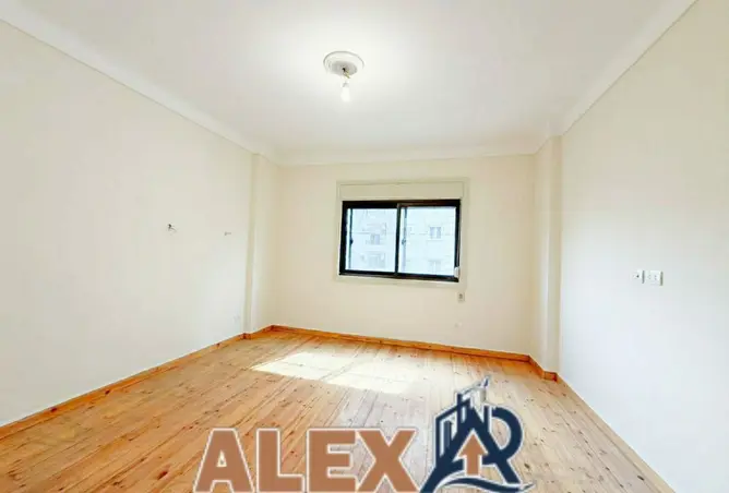 119849975 - Property Image 3