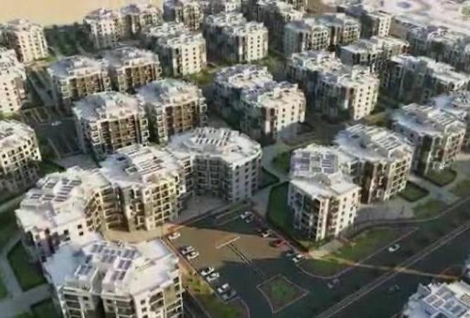 98012774 - Property Image 3
