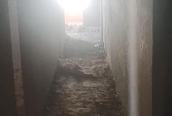 65150594 - صورة العقار 3