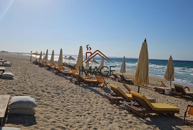 57503466 - Property Image 2