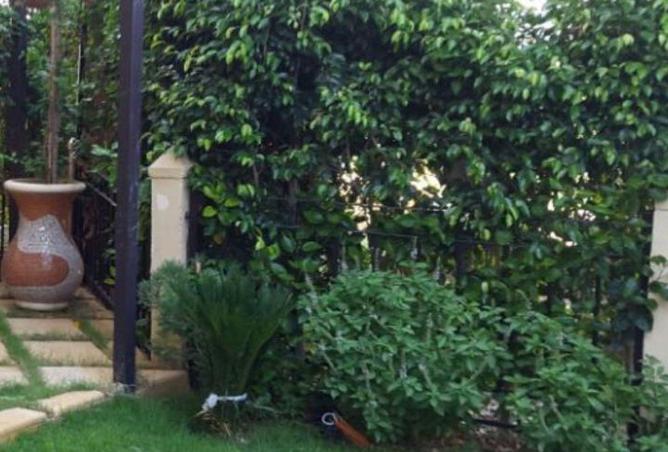 66691025 - صورة العقار 2