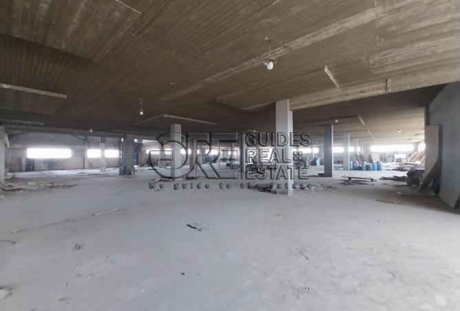 55995087 - صورة العقار 2