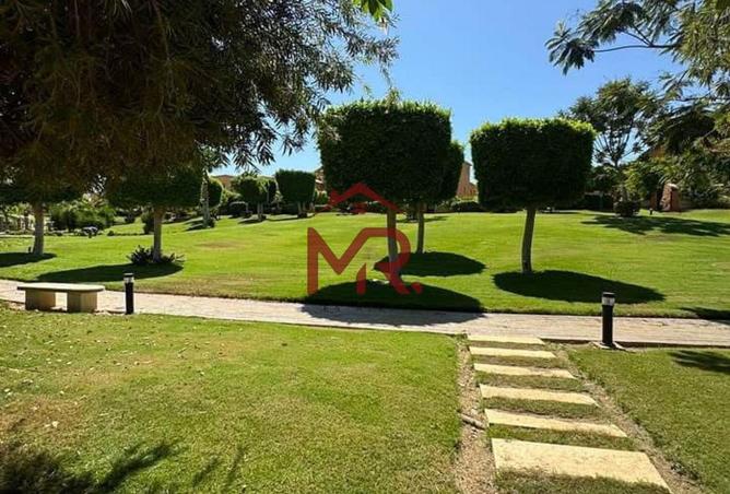 63642747 - صورة العقار 2