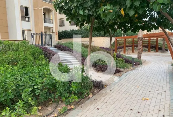 114890594 - Property Image 3
