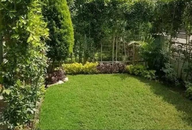 58744692 - صورة العقار 3