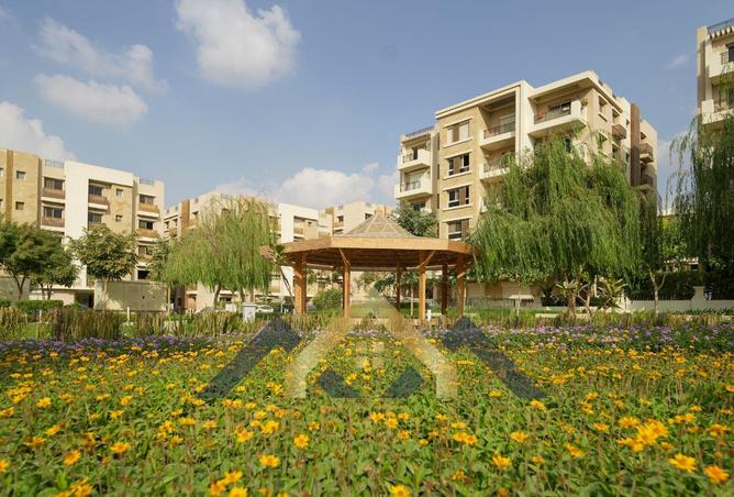 59245497 - صورة العقار 3