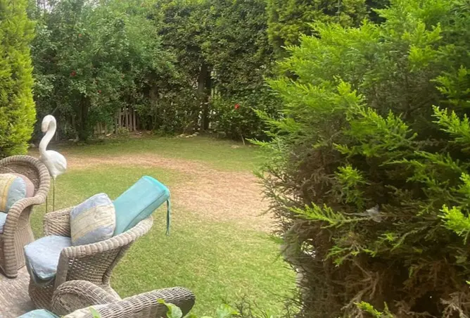 115439332 - Property Image 2