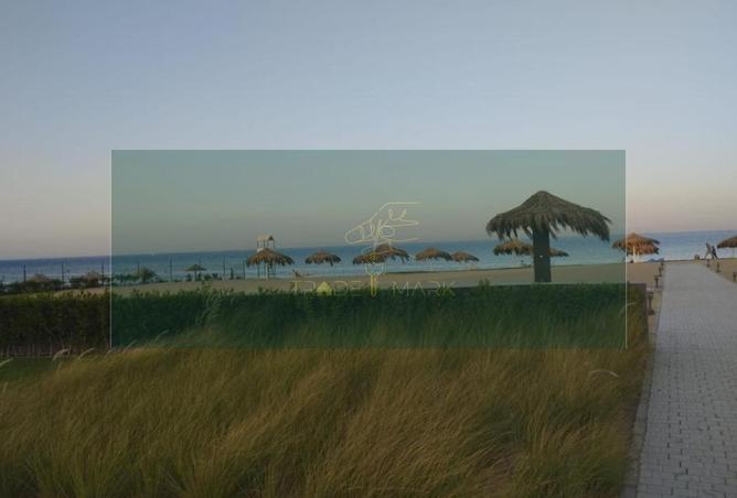 58742028 - Property Image 3