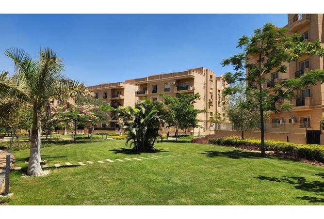 8508592 - صورة العقار 3