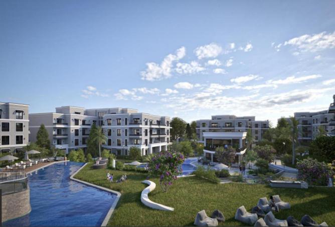 66169877 - Property Image 3