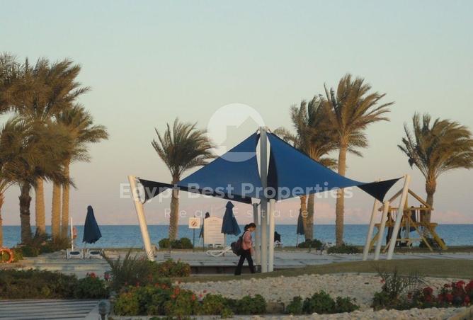 8427864 - Property Image 3