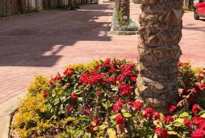 99681915 - Property Image 3