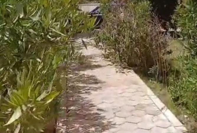 107417470 - صورة العقار 3