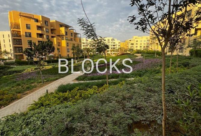 56001204 - صورة العقار 2