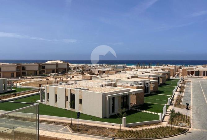 87517069 - صورة العقار 3