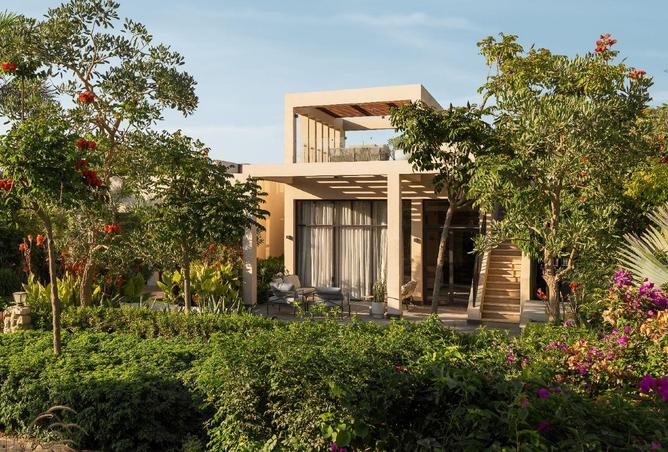 8639926 - Property Image 3