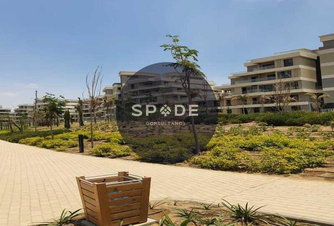 52184429 - صورة العقار 3