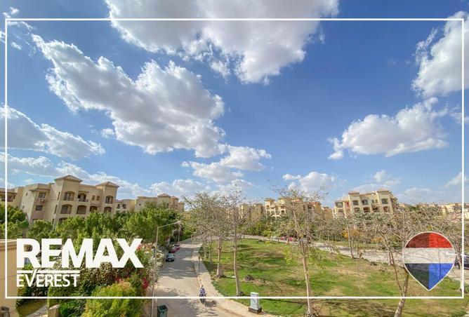 81824589 - صورة العقار 3
