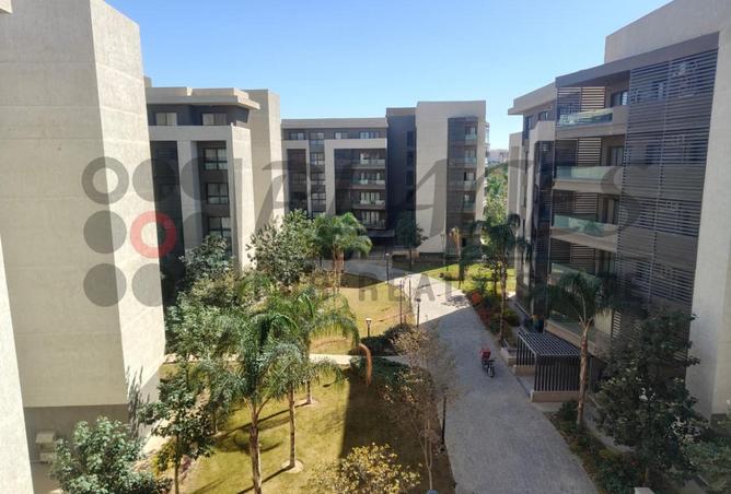 56002242 - صورة العقار 2