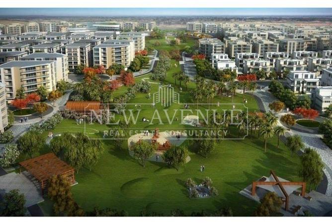 101780678 - Property Image 3
