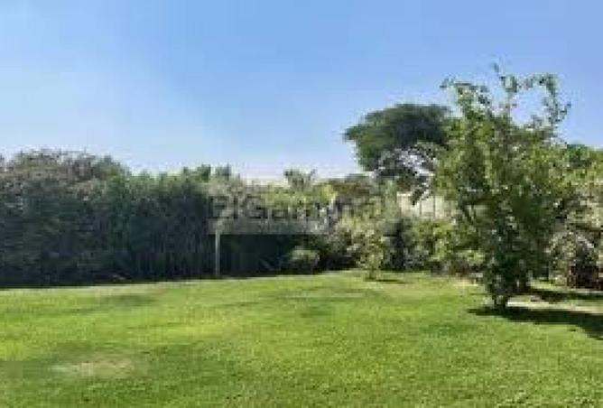 81047944 - صورة العقار 3