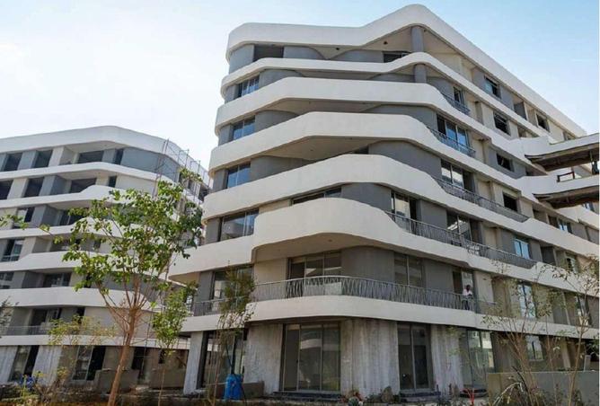 58494539 - Property Image 3