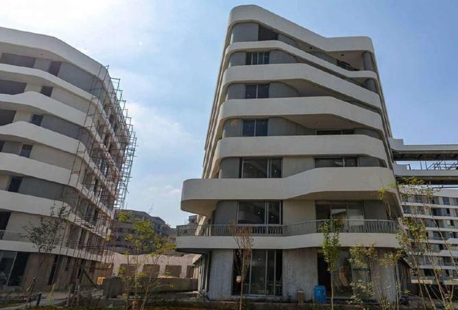 58494539 - Property Image 2